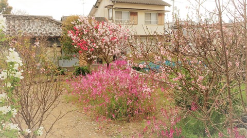 0　IMG_3151