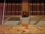 IMG_4179.JPG